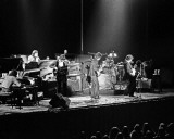 Bob Dylan & The Band, Charlie Auringer, 1974, Crisler Arena, Ann Arbor, Michigan