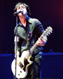 Green Day, Steve Galli, 2005, The Palace, Auburn Hills, Michigan