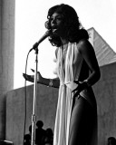Donna Summer, Thomas Weschler, 1976, Pine Knob, Detroit, Michigan
