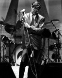 Roxy Music, Thomas Weschler, 1979, Michigan
