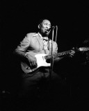 Muddy Waters, John Rockwood, 1974, Detroit, Michigan