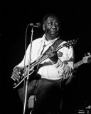 Muddy Waters, John Rockwood, 1980, Toledo, Ohio