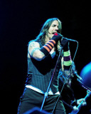 Red Hot Chili Peppers, Steve Galli, 2006, The Palace, Auburn Hills, Michigan