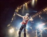 Poison, David Lehman, 1985 Photo