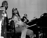 Stevie Wonder, Robert Jr. Whitall, 1993, State Theatre, Detroit, Michigan