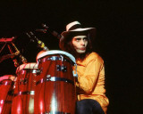 T-Rex, Charlie Auringer, 1972