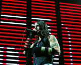 Red Hot Chili Peppers, Steve Galli, 2006, The Palace, Auburn Hills, Michigan