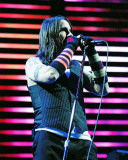 Red Hot Chili Peppers, Steve Galli, 2006, The Palace, Auburn Hills, Michigan