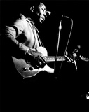 Muddy Waters, John Rockwood, 1980