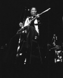 Muddy Waters, John Rockwood, 1975