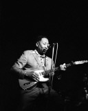 Muddy Waters, John Rockwood, 1974, Detroit, Michigan