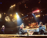 Poison, David Lehman, 1985 Photo