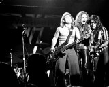 Van Halen, Thomas Weschler, 1978, Michigan