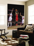 Toronto Raptors v Detroit Pistons: Linas Kleiza, Ben Wallace and Greg Monroe