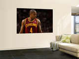 Cleveland Cavaliers v Miami Heat: Antawn Jamison