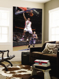 Atlanta Hawks v Detroit Pistons: Charlie Villanueva and Mike Bibby
