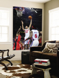 Toronto Raptors v Detroit Pistons: Tayshaun Prince, Sonny Weems and Ben Wallace