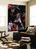 Toronto Raptors v Detroit Pistons: Ben Wallace and Ed Davis