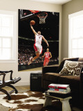 New Jersey Nets v Toronto Raptors: Linas Kleiza and Sasha Vujacic