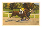 Race Horses, Saratoga Springs, New York