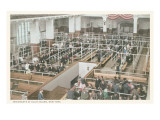 Immigrant Processing, Ellis Island, New York