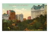 Buy Central Park near Entrance, New York City at AllPosters.com