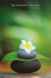 Buy Zen at AllPosters.com
