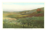 Sunset in the Hills, Nantucket, Massachusetts