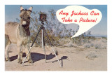 Any Jackass Can Take a Picture