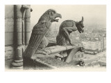Buy Gargoyles at Notre Dame, Paris at AllPosters.com