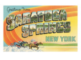Greetings from Saratoga Springs, New York