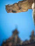 Buy Views of Andalusia, Spain at AllPosters.com