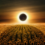 Radiance