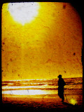 Buy Nobel at AllPosters.com
