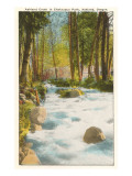 Ashland Creek, Chautauqua Park, Ashland, Oregon