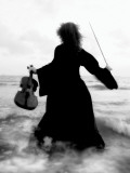 Violinists Series by Helena M. Damsel