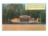 Buy Big Fish Diner, Erie, Pennsylvania at AllPosters.com