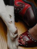 Buy Footsie at AllPosters.com