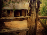 Buy Shack #5 at AllPosters.com