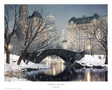 Buy Twilight In Central Park at AllPosters.com