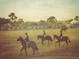 Carnival #8