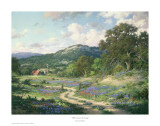 Buy Hill Country Evening at AllPosters.com
