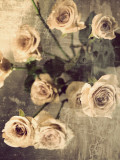 Still Life #4