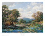 Buy Shady Bend at AllPosters.com