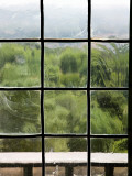 View Through Old Window Panes