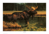 Buy Water World at AllPosters.com