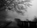 Buy Wandering, Dreaming at AllPosters.com