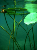 Underwater Thread