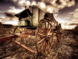 Harvest