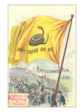 Buy Rattlesnake Flag at AllPosters.com